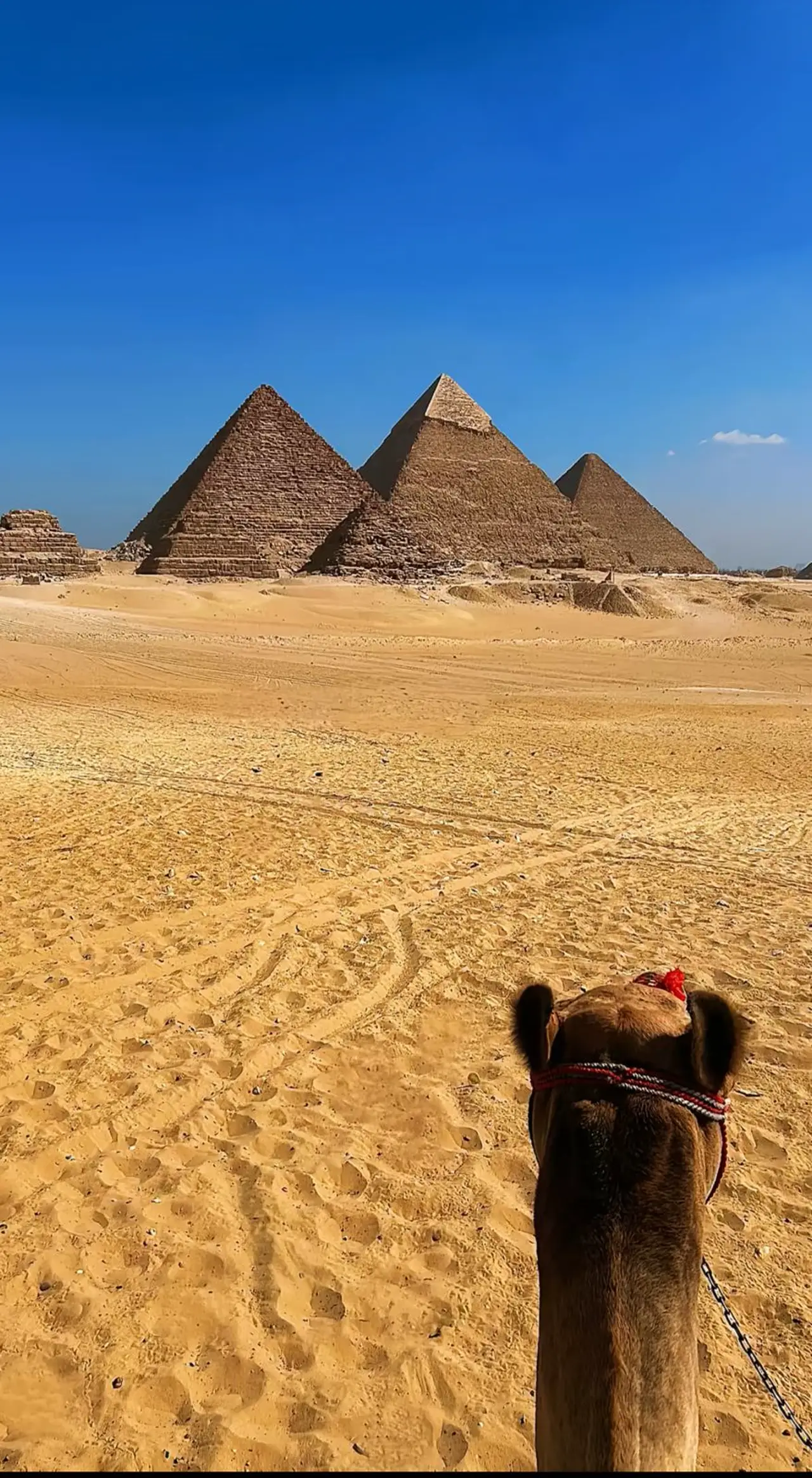 Les pyramides de Gizeh vues depuis le désert, lors d’une excursion en Égypte.